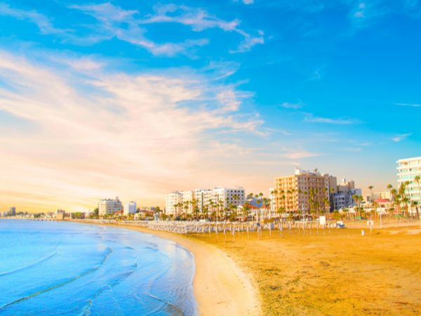 Experience the Best of Larnaca by Car from Salt Lake to the Coast