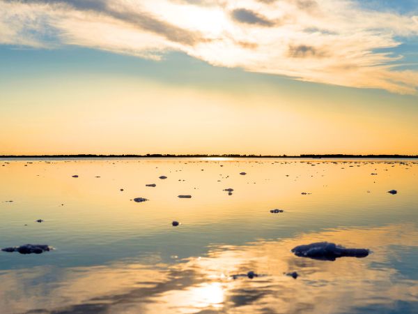 How to Spend One Magical Day in Larnaca with Nature and Ancient Wonders